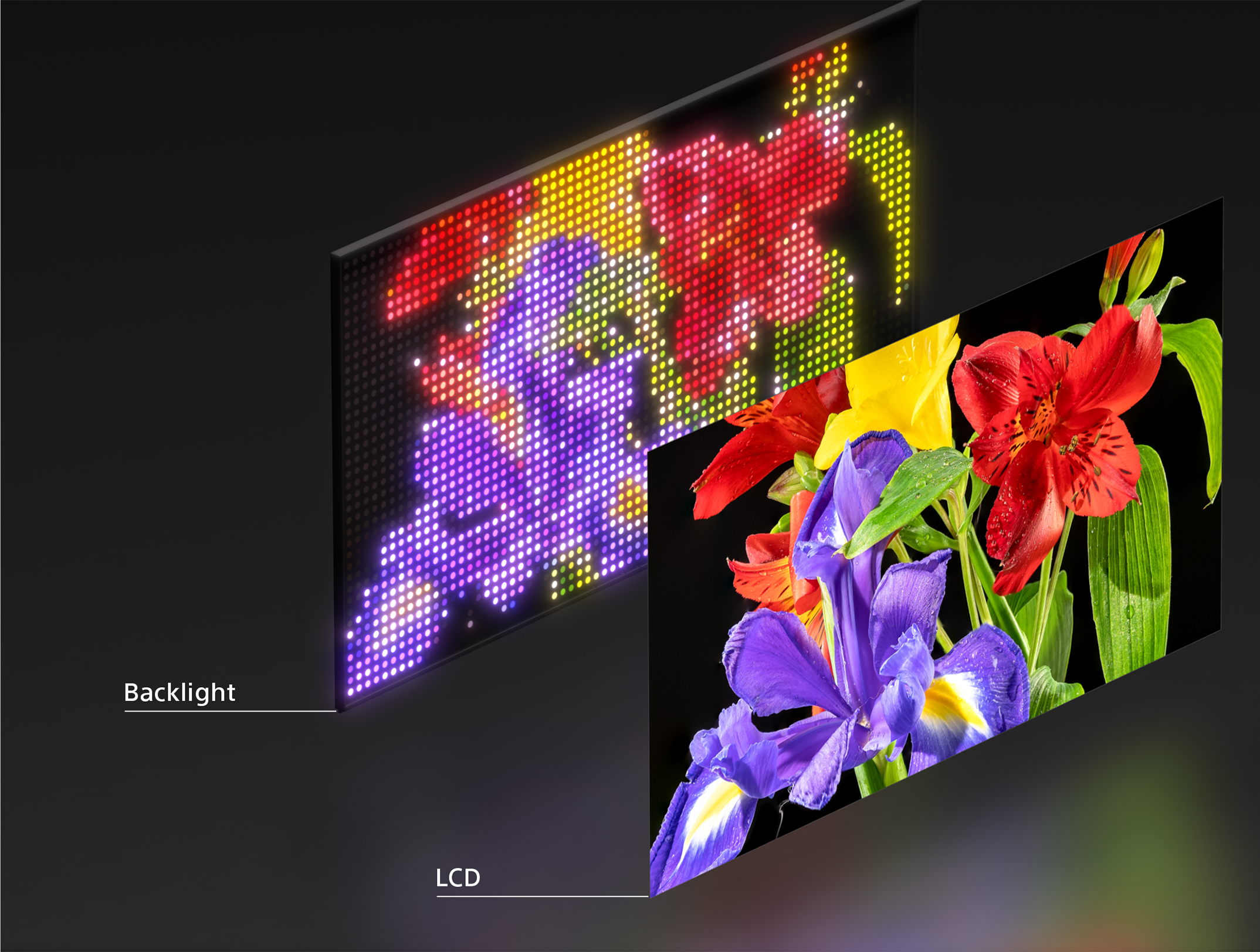 Hình ảnh minh họa chất lượng hình ảnh True RGB của BRAVIA 9 II